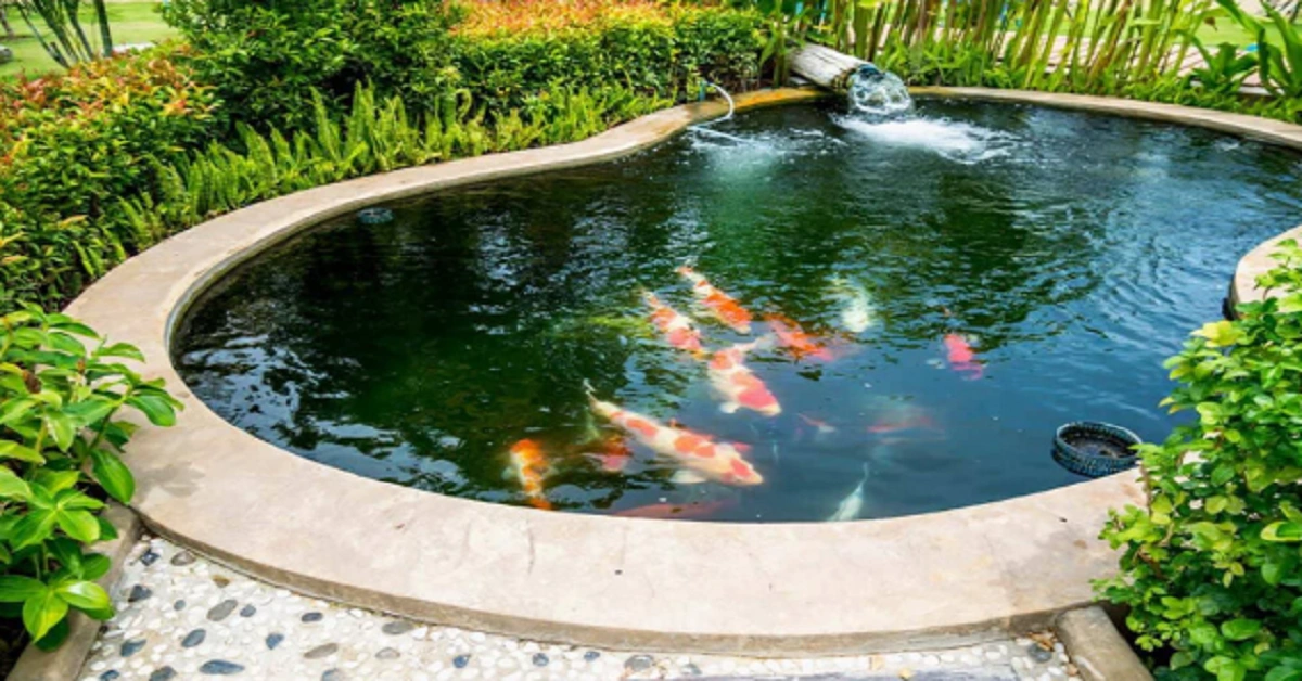 Pond Cleaning: How to Keep Your Pond Healthy and Stunning All Year Round